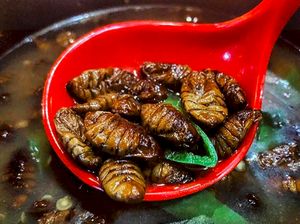 Nyam! 7 Olahan Serangga Ini Mungkin Bikin Kamu Doyan Menyantapnya Nyam! 7 Olahan Serangga Ini Mungkin Bikin Kamu Doyan Menyantapnya