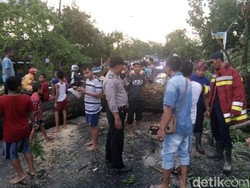 Puting Beliung Landa Bojonegoro, Rumah, Pohon dan Tower Roboh