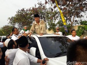 Timses Bela Prabowo yang Dikritik Soal Karier Tukang Ojek