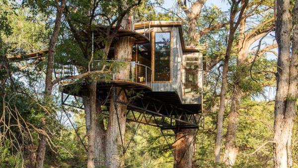 Ada Rumah Mewah Nangkring di Atas Pohon, Begini Jeroannya