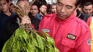 12 Pose Jokowi Saat Blusukan ke Pasar Anyar Tangerang