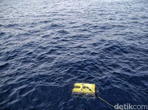 Hari Ke-8 Evakuasi Lion Air PK-LQP, 176 Penyelam Diturunkan Hari Ke-8 Evakuasi Lion Air PK-LQP, 176 Penyelam Diturunkan