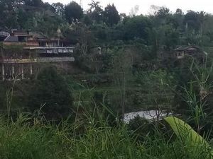 Wisata Kuliner di Bali yang Patut Dicoba