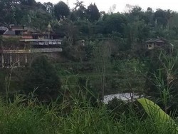 Wisata Kuliner di Bali yang Patut Dicoba