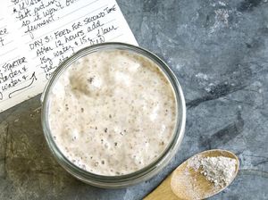 Unik! Ada Hotel Khusus Penitipan Ragi Sourdough Unik! Ada Hotel Khusus Penitipan Ragi Sourdough