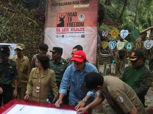 4 Ekor Rusa Timor Hasil Konservasi Pertamina EP Dilepasliarkan