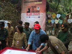 4 Ekor Rusa Timor Hasil Konservasi Pertamina EP Dilepasliarkan