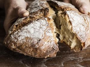 Si Asam Lembut Sourdough yang Jadi Incaran Banyak Orang Si Asam Lembut Sourdough yang Jadi Incaran Banyak Orang