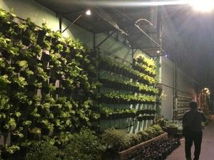 Kampung di Malang Ini Jadi Rujukan Menabung Air di Mancanegara