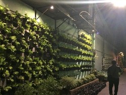 Kampung di Malang Ini Jadi Rujukan Menabung Air di Mancanegara