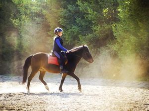 Tren Senam Anti-mainstream di Punggung Kuda