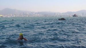 Foto: Komunitas Renang dengan Tempat Rahasia di Hong Kong