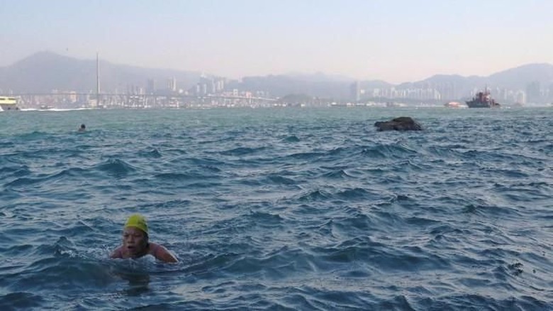 Klub renang yang tahu pantai belakang layar di Hong Kong (REUTERS/Hannah McKay) Klub renang yang tahu pantai belakang layar di Hong Kong (REUTERS/Hannah McKay)