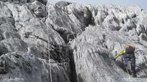 Foto: Beginilah Trek Pendakian Puncak Carstensz