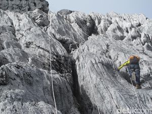 Foto: Beginilah Trek Pendakian Puncak Carstensz Foto: Beginilah Trek Pendakian Puncak Carstensz