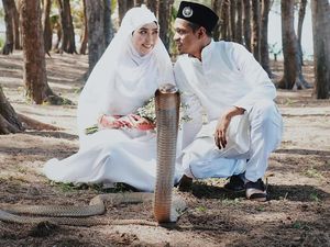 Ngeri! Foto Pernikahan Pasangan dengan Ular King Kobra Ini Jadi Viral Ngeri! Foto Pernikahan Pasangan dengan Ular King Kobra Ini Jadi Viral