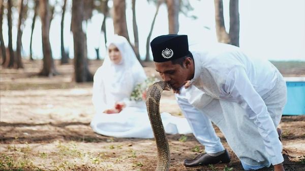 Potret Pasangan Viral yang Buat Foto Pernikahan dengan Ular King Kobra