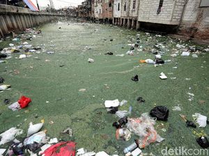 Duh, Kali Duri Cideng Kembali Kotor dan Berbau