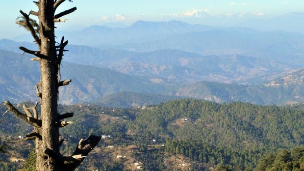Rute Perjalanan Darat Terbaik dari Delhi 