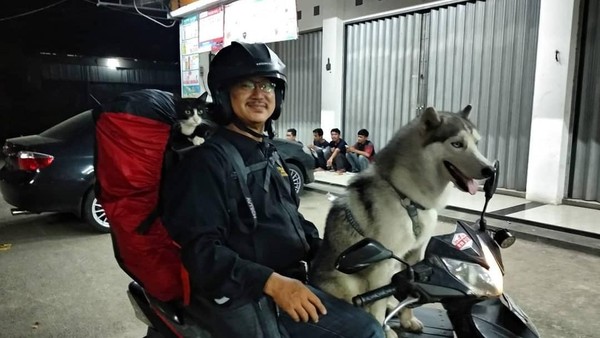 Naik Motor Jakarta Yogya Bersama Anjing Dan Kucing
