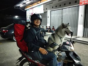 Naik Motor Jakarta-Yogya Bersama Anjing dan Kucing
