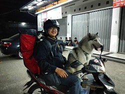 Naik Motor Jakarta-Yogya Bersama Anjing dan Kucing