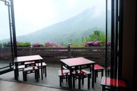 Di Puncak Bogor, Ada Restoran Bernuansa Alam yang Hadirkan Panda