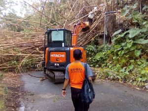 Rumpun Bambu Roboh, Akses ke Telaga Ngebel Lumpuh 2 Jam Rumpun Bambu Roboh, Akses ke Telaga Ngebel Lumpuh 2 Jam