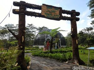 Foto: Boyolali Ternyata Punya Kebun Raya Cantik Lho!