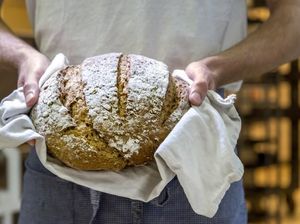 Si Asam Lembut Sourdough yang Jadi Incaran Banyak Orang Si Asam Lembut Sourdough yang Jadi Incaran Banyak Orang