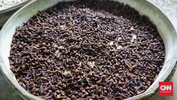 Wisata di Kebun Kopi Kintamani