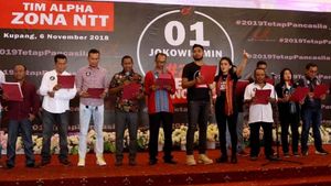 Deklarasi Tim Alpha Zona NTT Dukung Jokowi-Maruf Amin