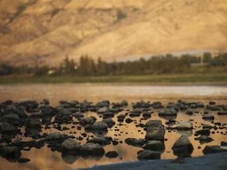Gawat, Danau Tempat Yesus Berjalan di Atas Air Terancam Polusi