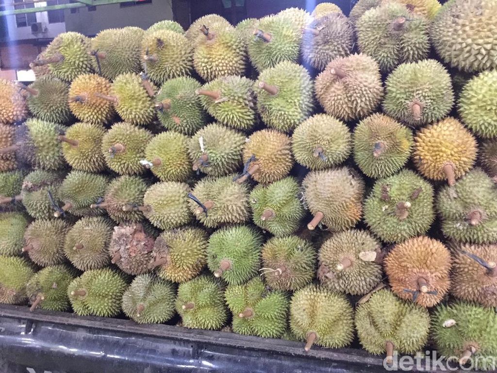 Kalau Mengemasnya Benar, Durian Boleh Saja Naik Pesawat Kalau Mengemasnya Benar, Durian Boleh Saja Naik Pesawat