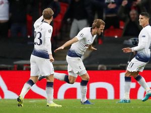 Hasil Liga Champions: Kalahkan PSV, Tottenham Jaga Kans Lolos 16 Besar
