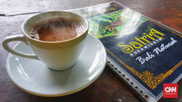 Wisata di Kebun Kopi Kintamani