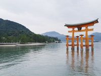 Gerbang kuilnya yang jadi pemandangan ikonik Pulau Miyajima (Kurnia Yustiana/detikTravel)