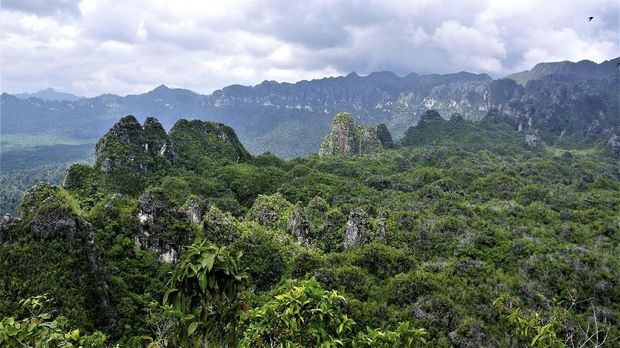 Jelajah dan Ritual Demi Temukan Jejak Lukisan Tua Indonesia