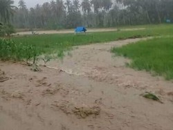 Status Tanggap Darurat Bikin Pemkab Madina Kena Damprat