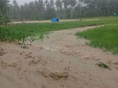 Foto: Banjir-Longsor Terjang Mandailing Natal
