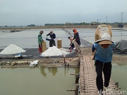 Masalah 225 Ha Lahan Garam di NTT Diselesaikan Senin Depan