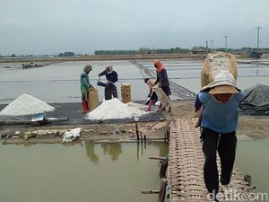 Masalah 225 Ha Lahan Garam di NTT Diselesaikan Senin Depan Masalah 225 Ha Lahan Garam di NTT Diselesaikan Senin Depan