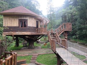 Keren! Ada Rumah Pohon yang Dilengkapi Perosotan di Puncak Bogor