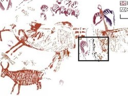 Lukisan Binatang Tertua di Dunia Ditemukan dalam Gua Kalimantan