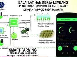 Canggih! Petani Lembang Bisa Pantau Sawah via Aplikasi Smartphone