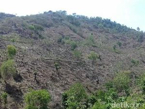 Perubahan Lahan di Geopark Tambora, Sumbawa