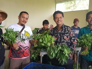 Bertani Sayur di Pinggir Bandara, Pemuda Ini Raup Rp 100 Juta/Hari