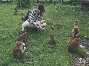 Jalan-jalan Nyaman ke Pulau Kembang di Barito Kuala Tanpa Masuk Angin