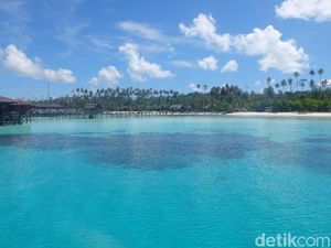 Pandemi di Maratua: Banyak Resort Tutup, Guide Balik Jadi Nelayan Pandemi di Maratua: Banyak Resort Tutup, Guide Balik Jadi Nelayan