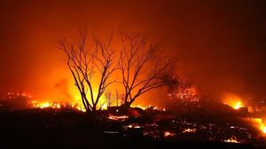 Ribuan Warga Dievakuasi Akibat Kebakaran Hebat di California